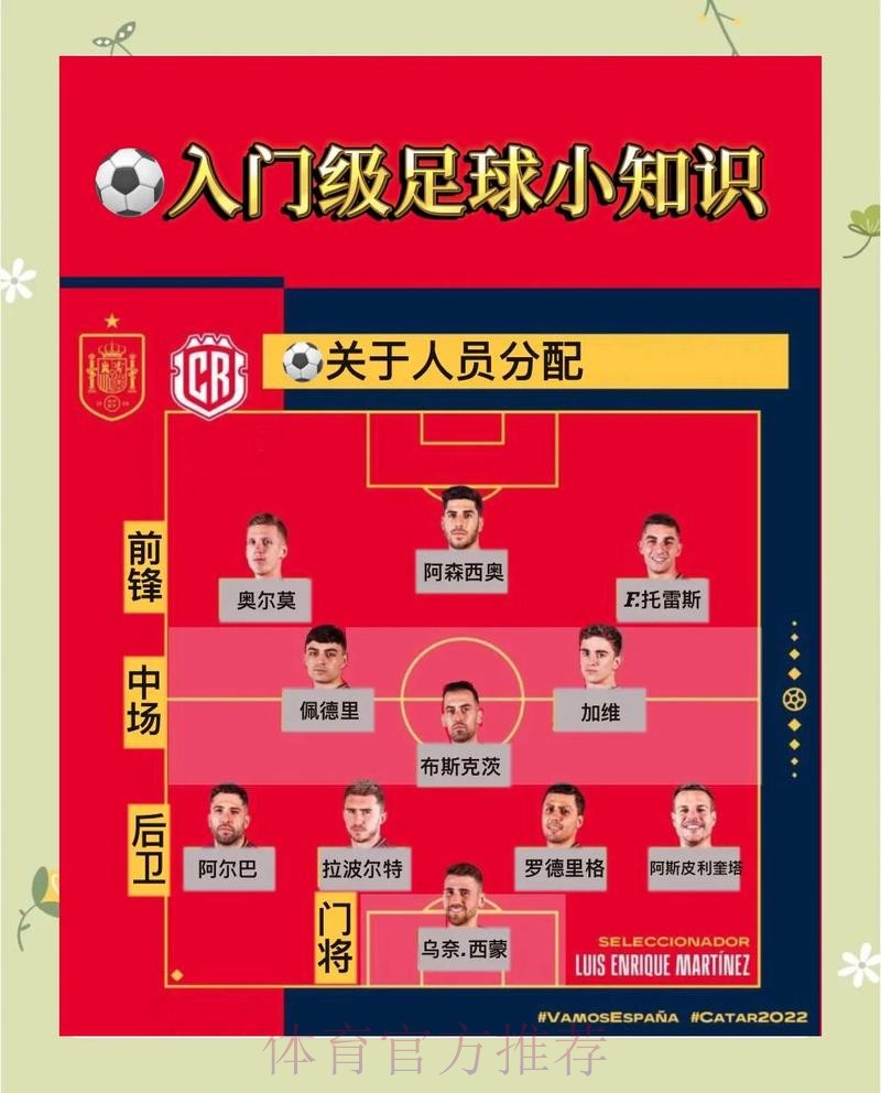 世界杯竞彩：赛前策略与赛中调整技巧