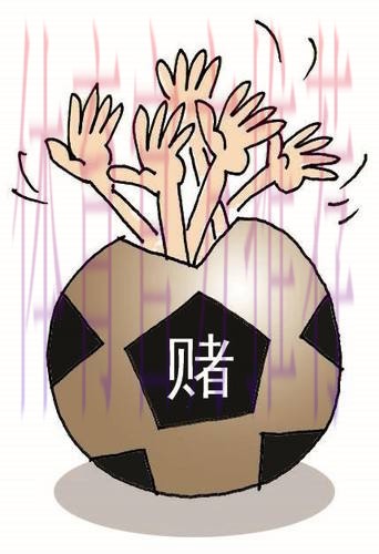世界杯下注入口最新动态，挖掘潜在盈利机会